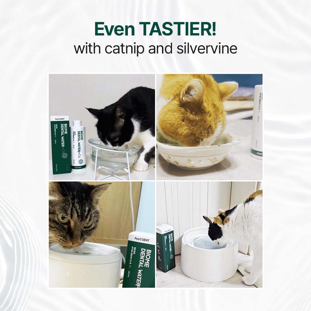 Breezytail PetO’Dent – haleine fraîche du chat après l’utilisation