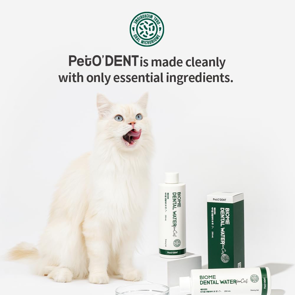 Breezytail PetO’Dent – routine quotidienne facile sans stress pour le chat