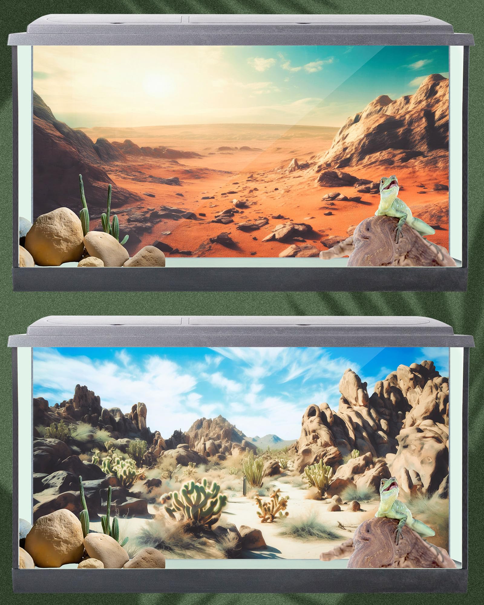 Breling fond couleurs vives, rendu saisissant pour habitat reptile.