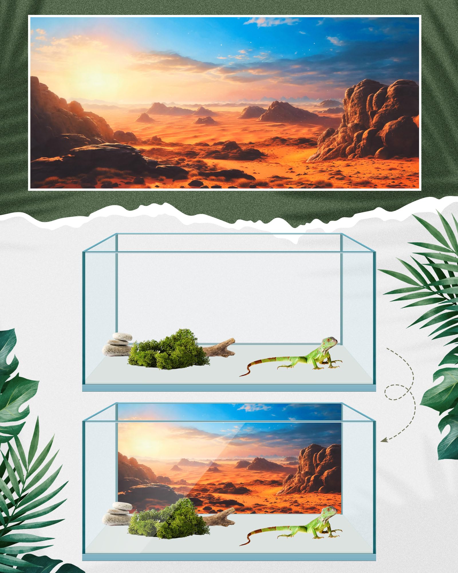 Breling fond foret tropicale rivieres, verdure luxuriante pour terrarium reptiles.