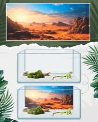 Breling fond foret tropicale rivieres, verdure luxuriante pour terrarium reptiles.
