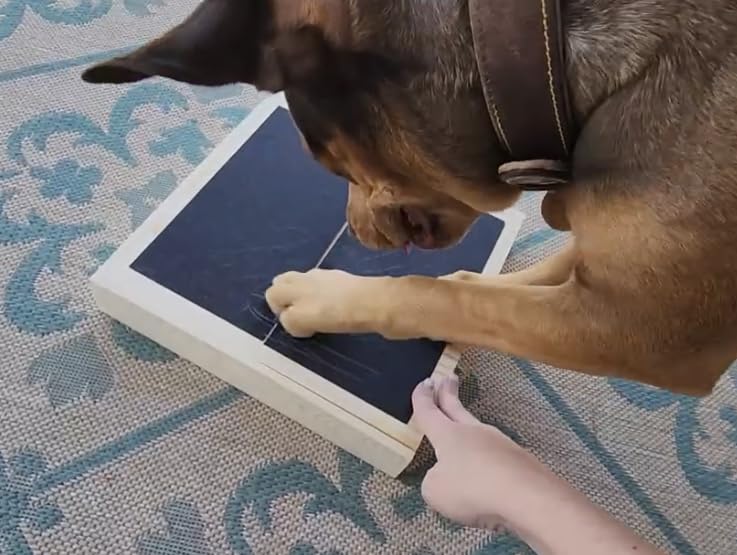 Bridge Cutters planche-soin-griffes, support pratique pour chats et chiens.
