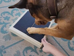 Bridge Cutters planche-soin-griffes, support pratique pour chats et chiens.