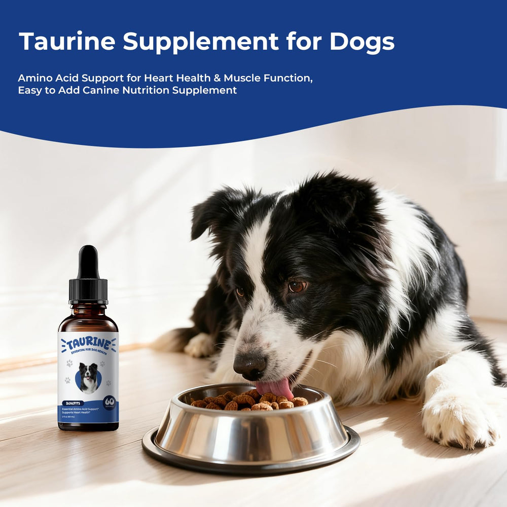 BrightBarki taurine chien coeur : possible soutien cardiaque dans une alimentation équilibrée.