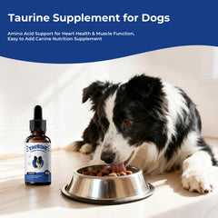 BrightBarki taurine chien coeur : possible soutien cardiaque dans une alimentation équilibrée.
