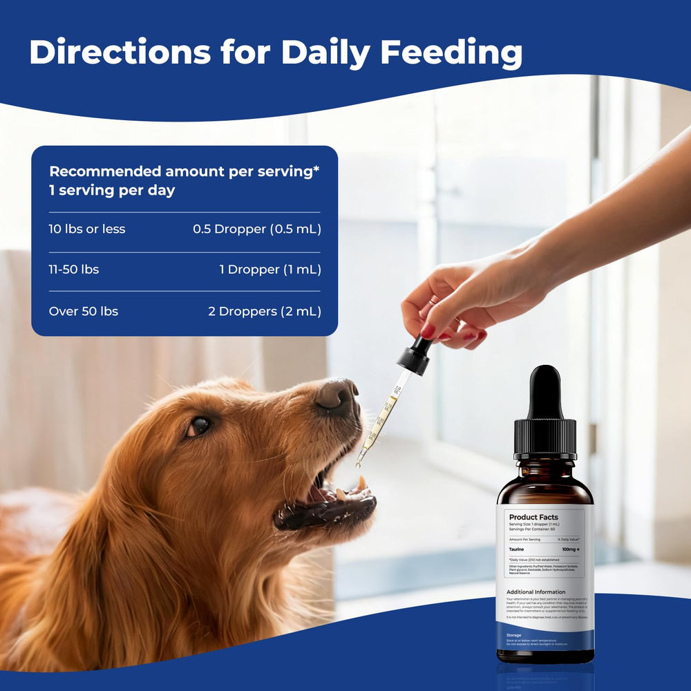 BrightBarki taurine facilite l'intégration dans les repas quotidiens.
