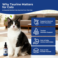 BrightBarki Taurine Mélange Chat Alimentation: soutien vision et immunité.
