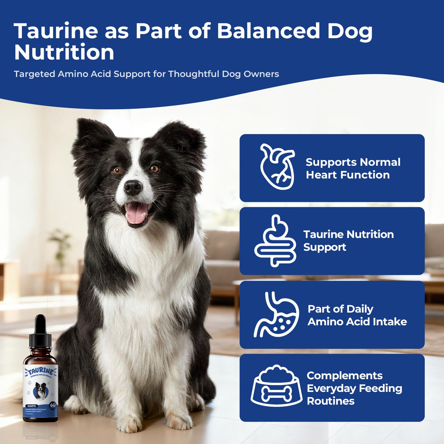 BrightBarki taurine muscles chien: peut soutenir la fonction musculaire lors d'activités quotidiennes.