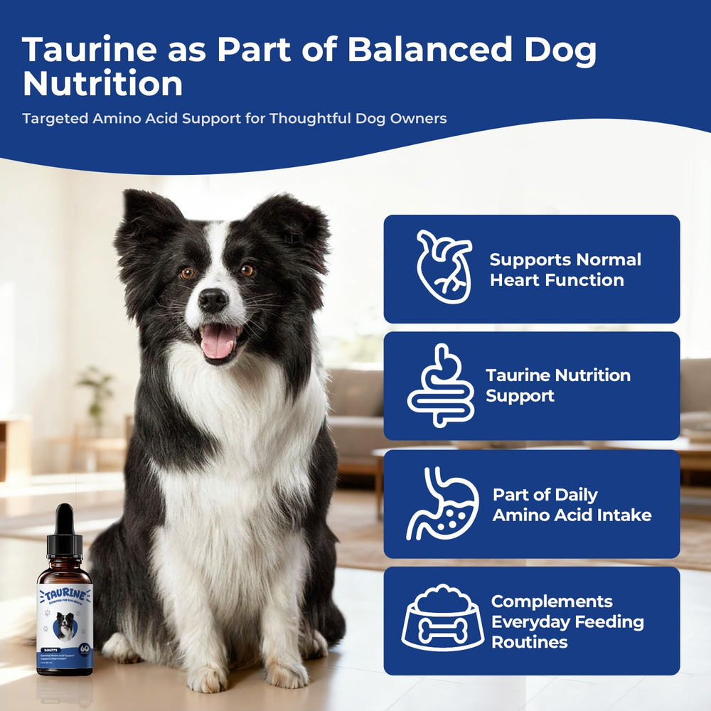 BrightBarki taurine muscles chien: peut soutenir la fonction musculaire lors d'activités quotidiennes.