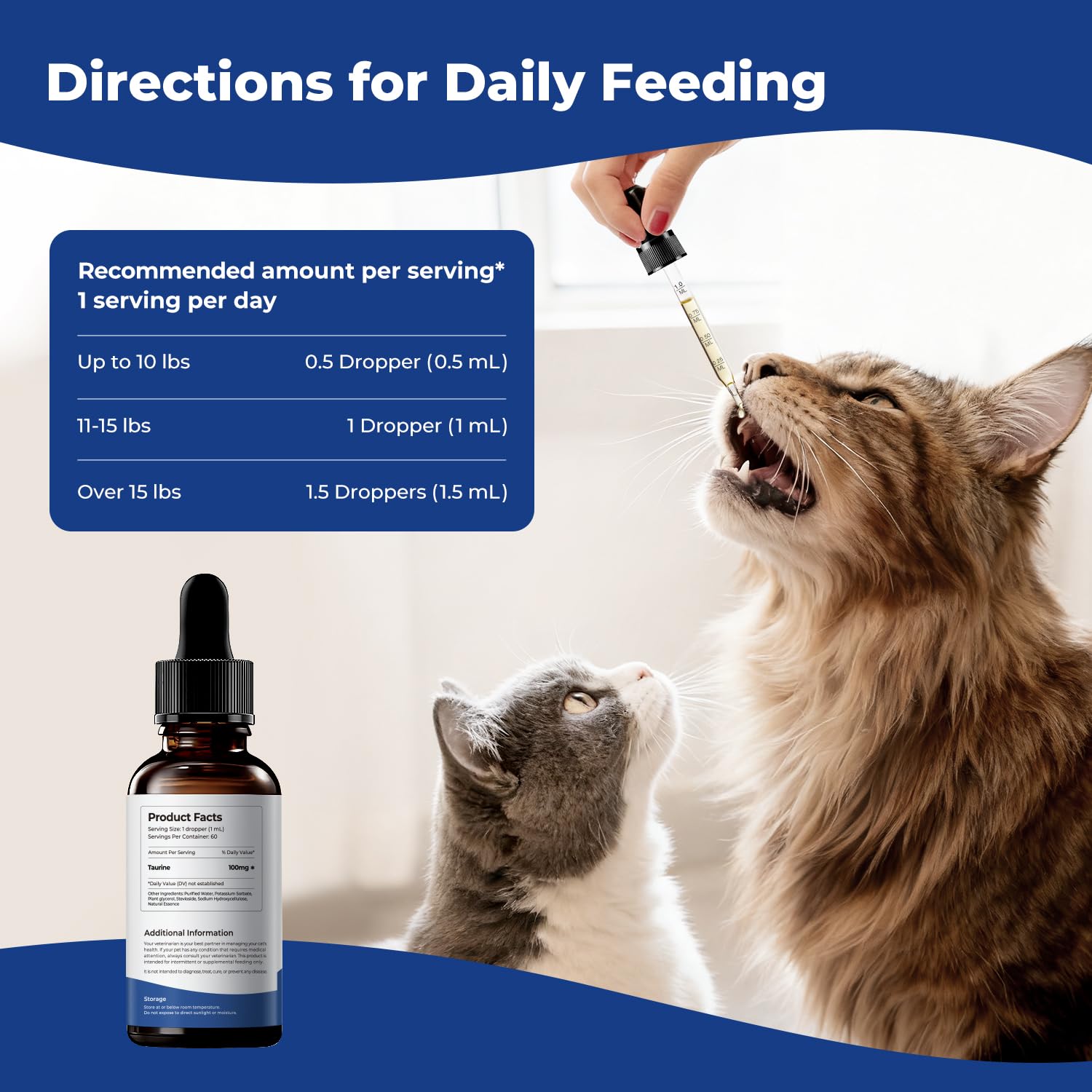 BrightBarki Taurine Utilisation Quotidienne Chat: s'intègre à la routine.