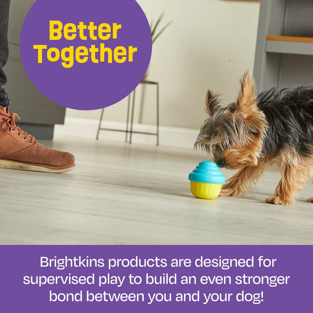 Brightkins Cupcake, cadeau idéal pour anniversaire de chien et moments d’amusement.