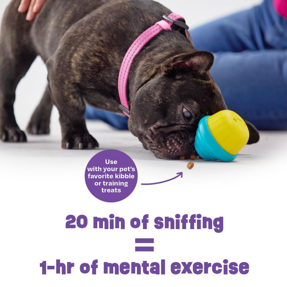 Brightkins Cupcake, conception sans BPA, sûre pour les chiens et les chiots.
