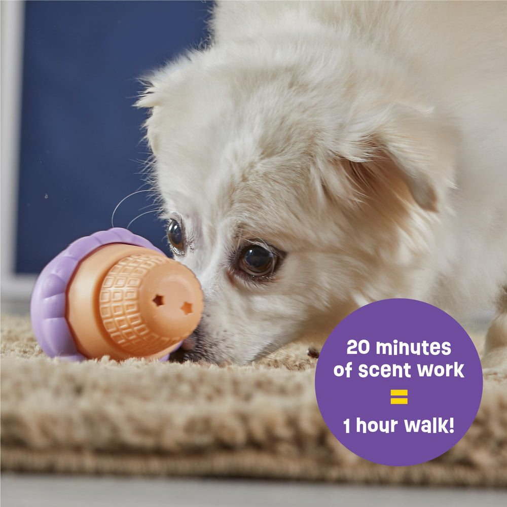 Brightkins Distributeur glace sans BPA, surface facile à nettoyer pour chiens.