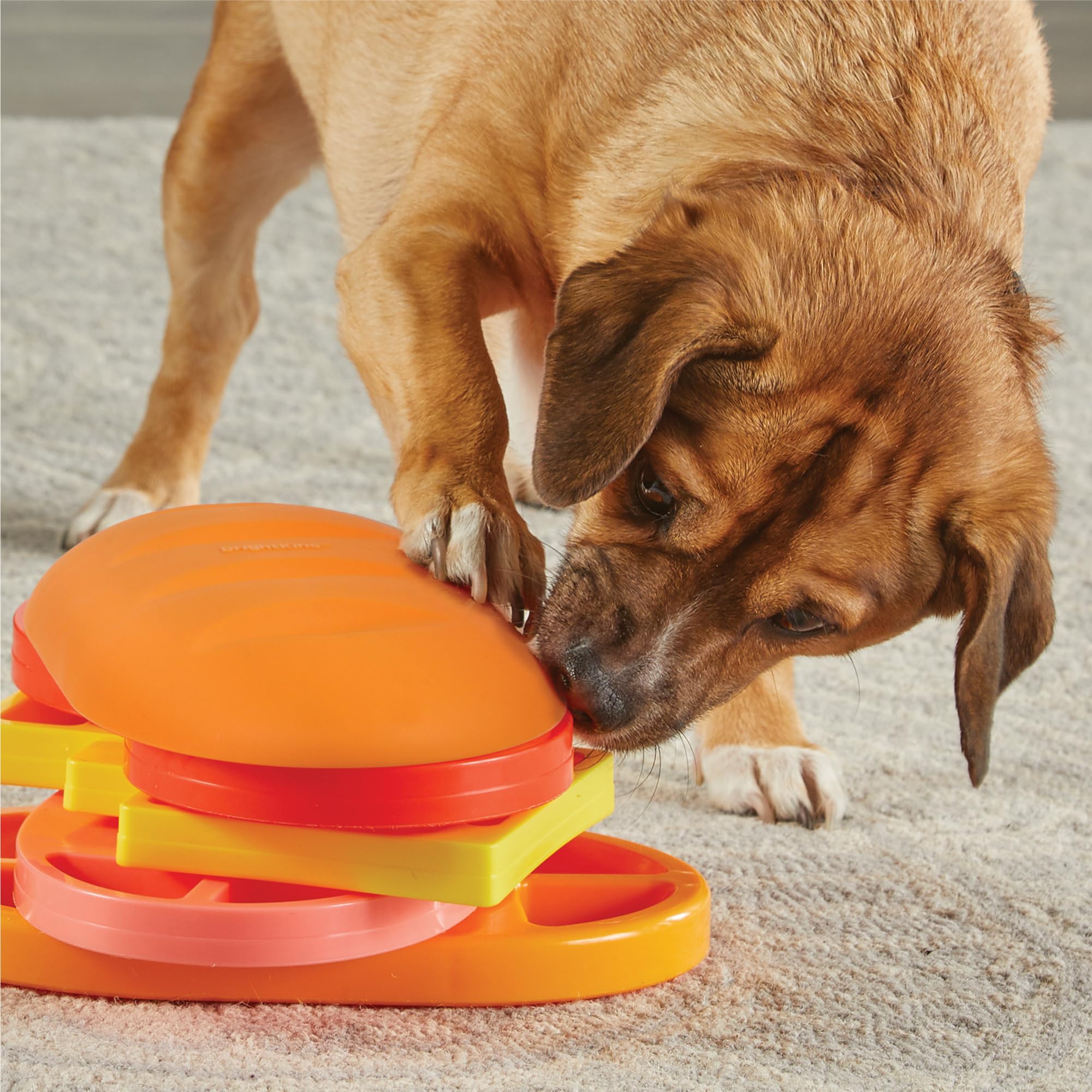 Brightkins Pupstrami Surprise favorise un repas lent et réfléchi.