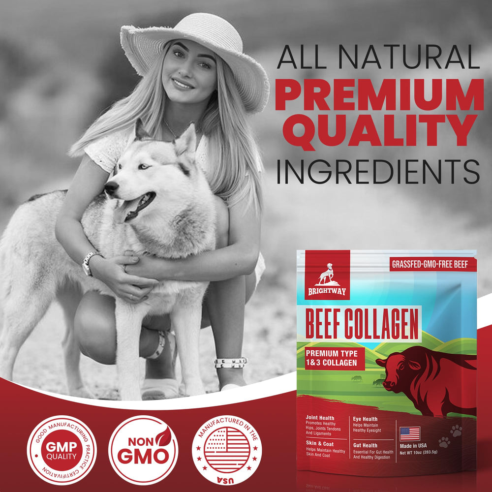 Brightway Pets collagene chien - bol-repas, mélange facile.