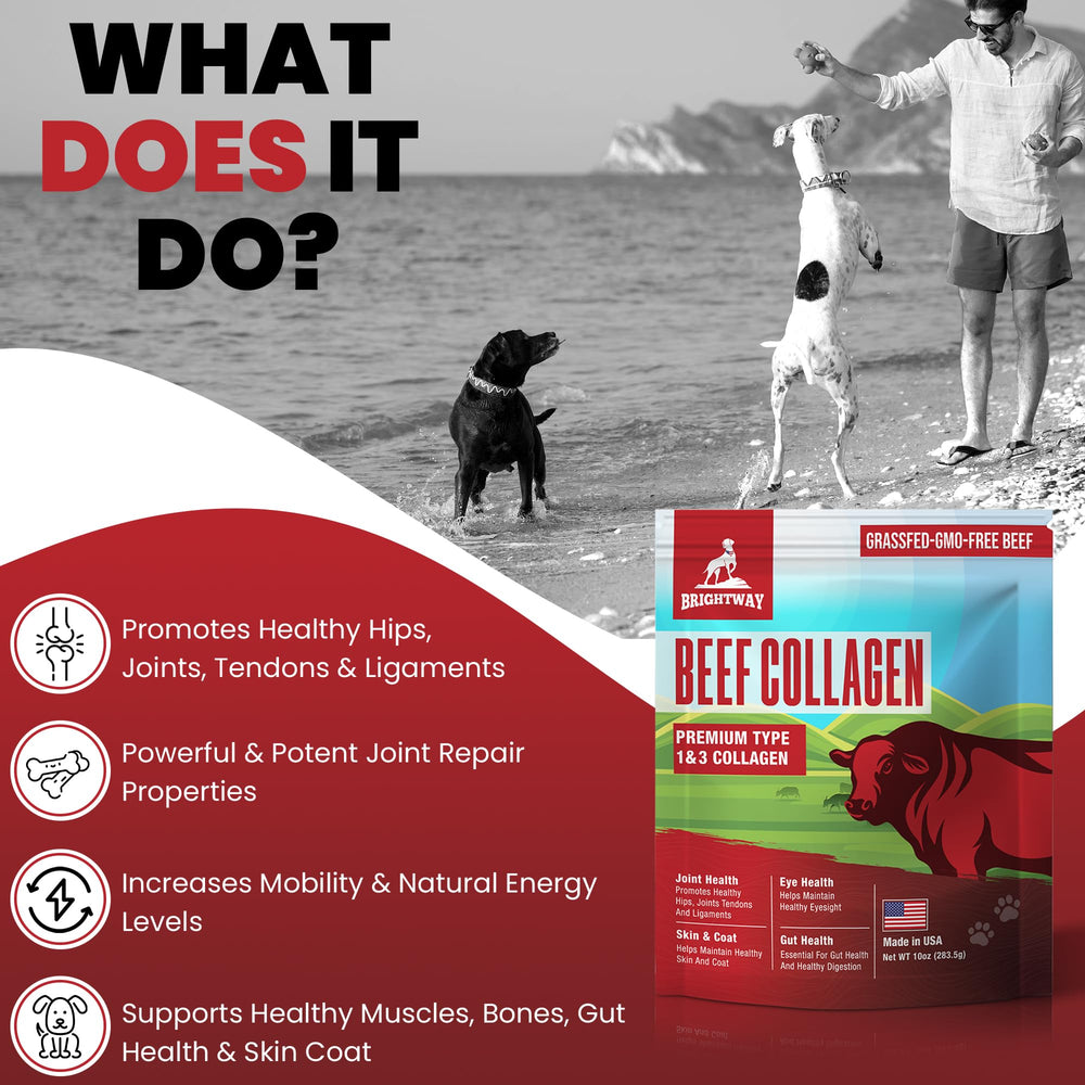 Brightway Pets collagene chien - etiquette origine grass-fed.