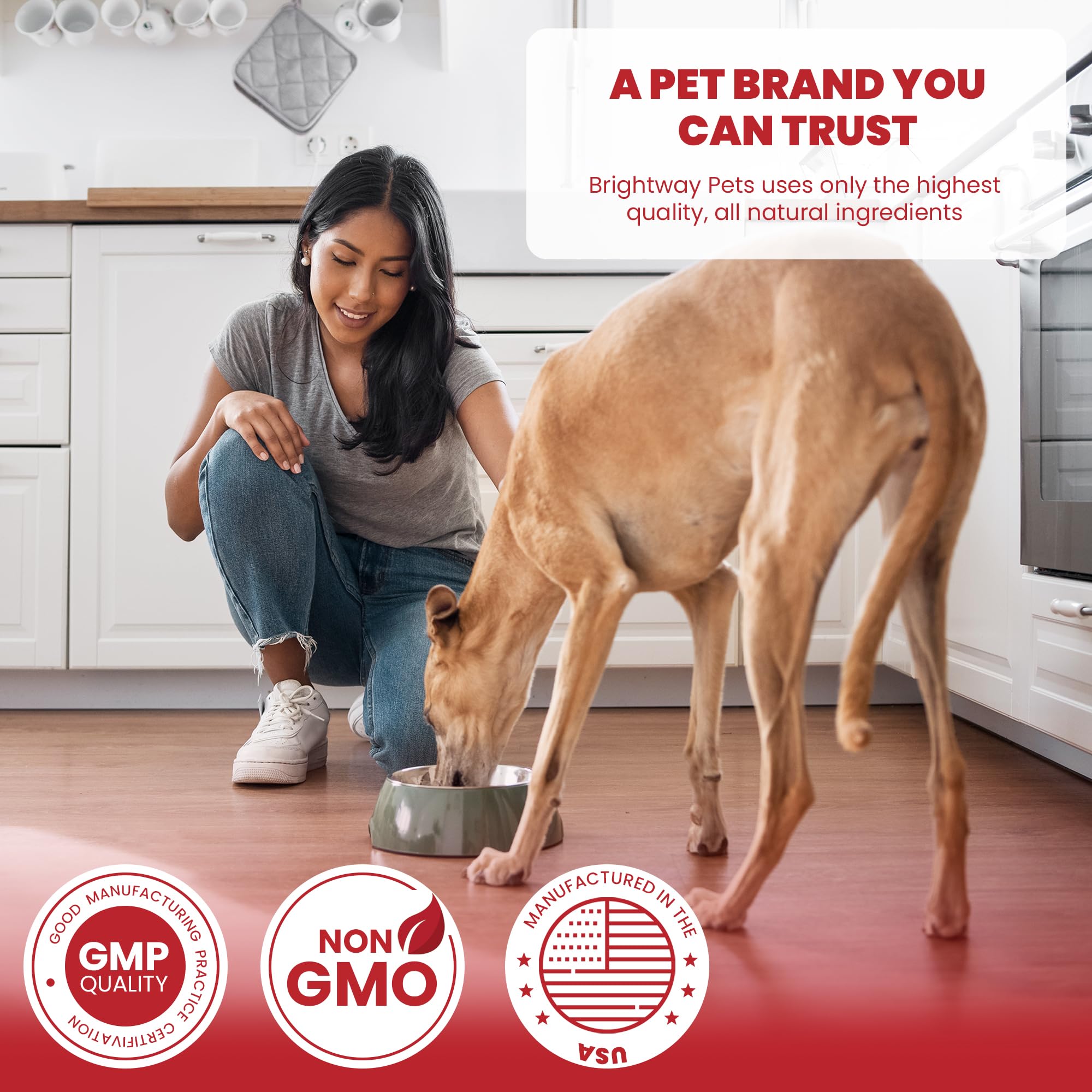 Brightway Pets collagene chien - fabrique USA, normes de qualité.