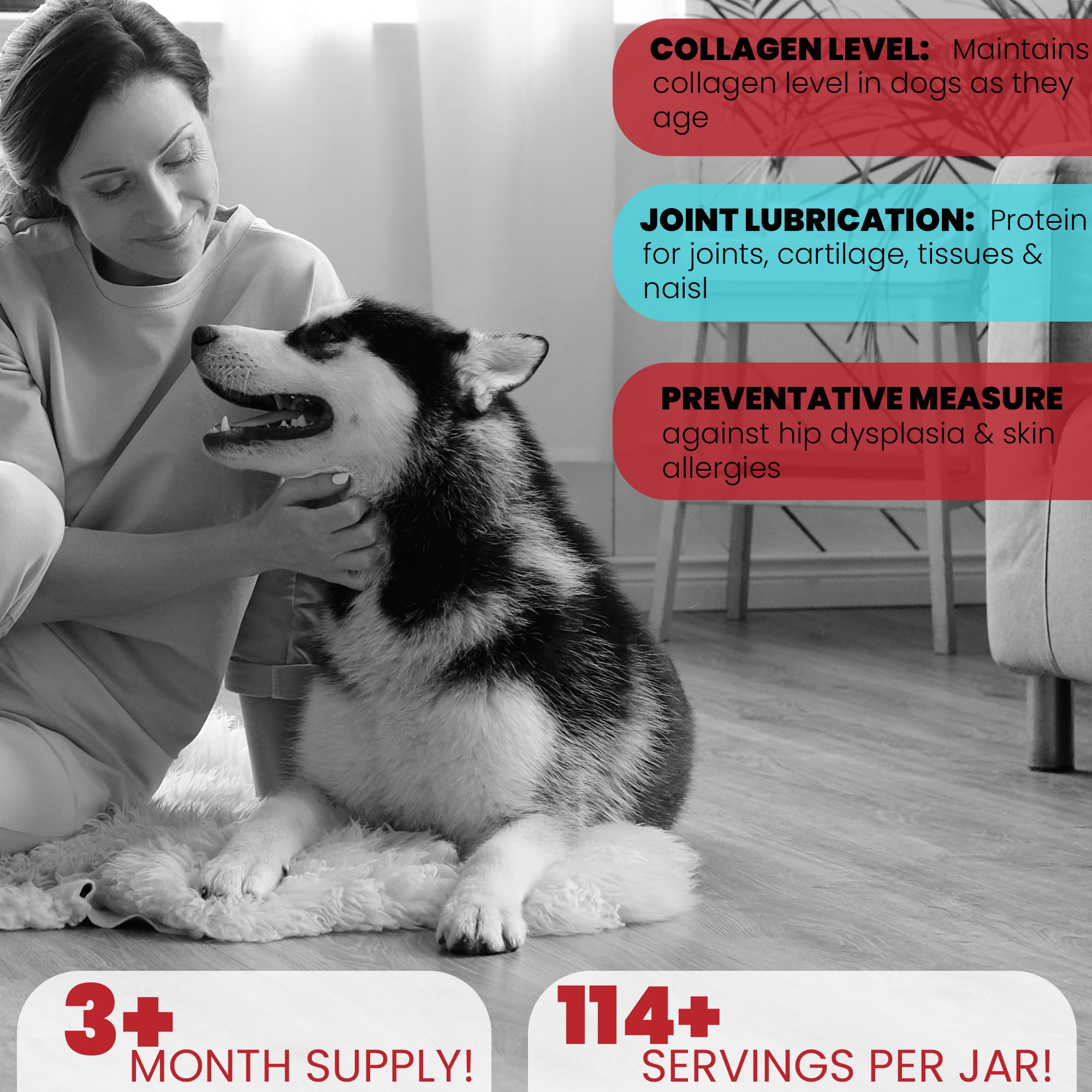 Brightway Pets collagene chien - peau et poil en bonne forme.