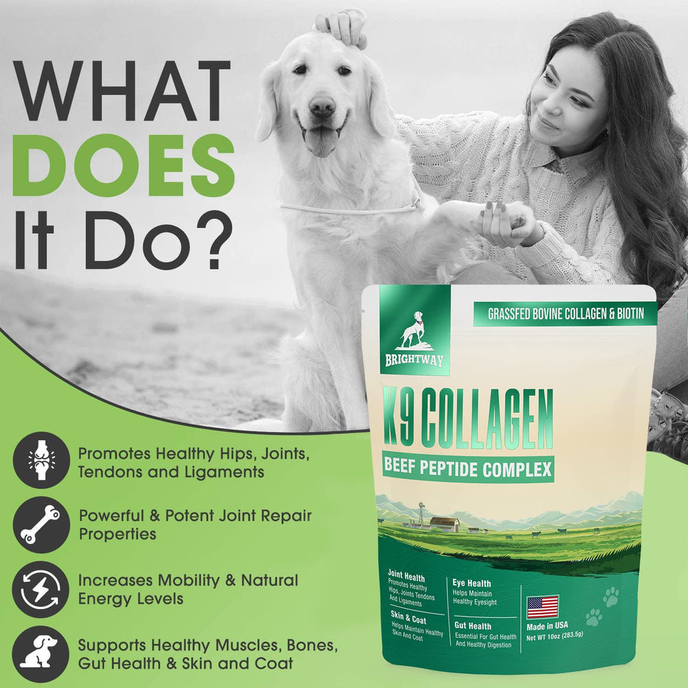 Brightway Pets K9 collagene peptide mobilité, chien actif avec mobilité potentiellement améliorée.
