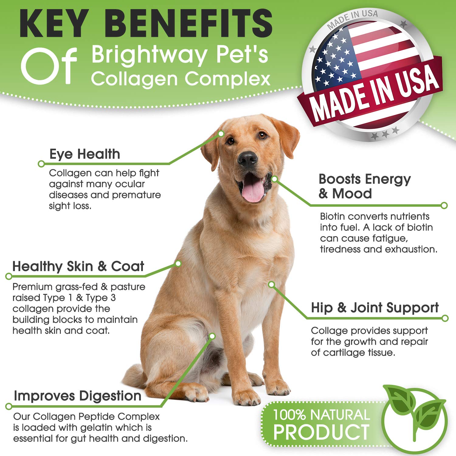 Brightway Pets K9 collagene peptide peau-poil, peau saine et pelage éclatant.