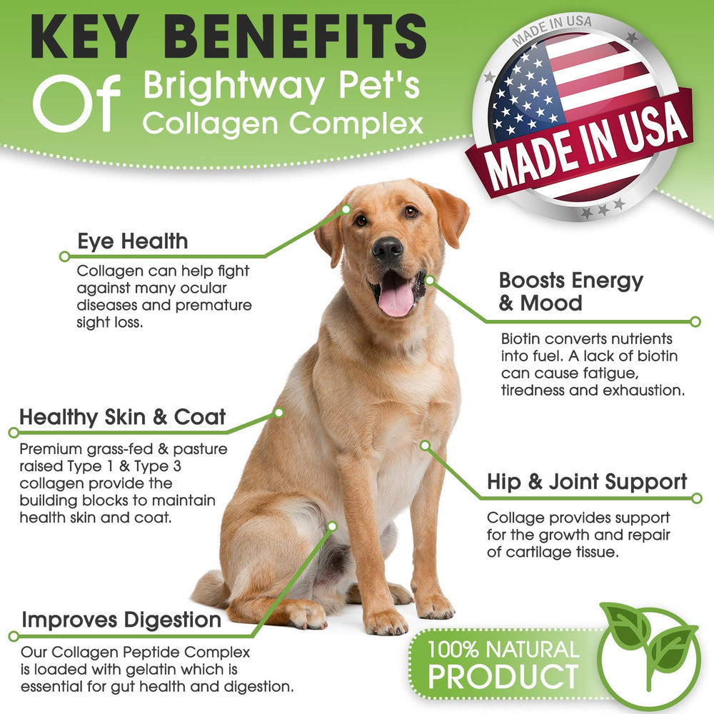 Brightway Pets K9 collagene peptide peau-poil, peau saine et pelage éclatant.