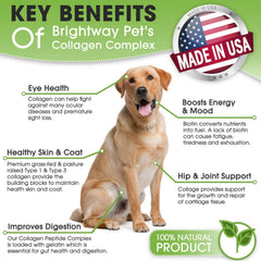 Brightway Pets K9 collagene peptide peau-poil, peau saine et pelage éclatant.