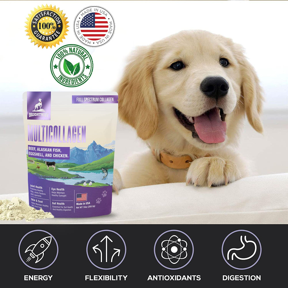 Brightway Pets membrane oeuf pour chien - soutien tissus conjonctifs.