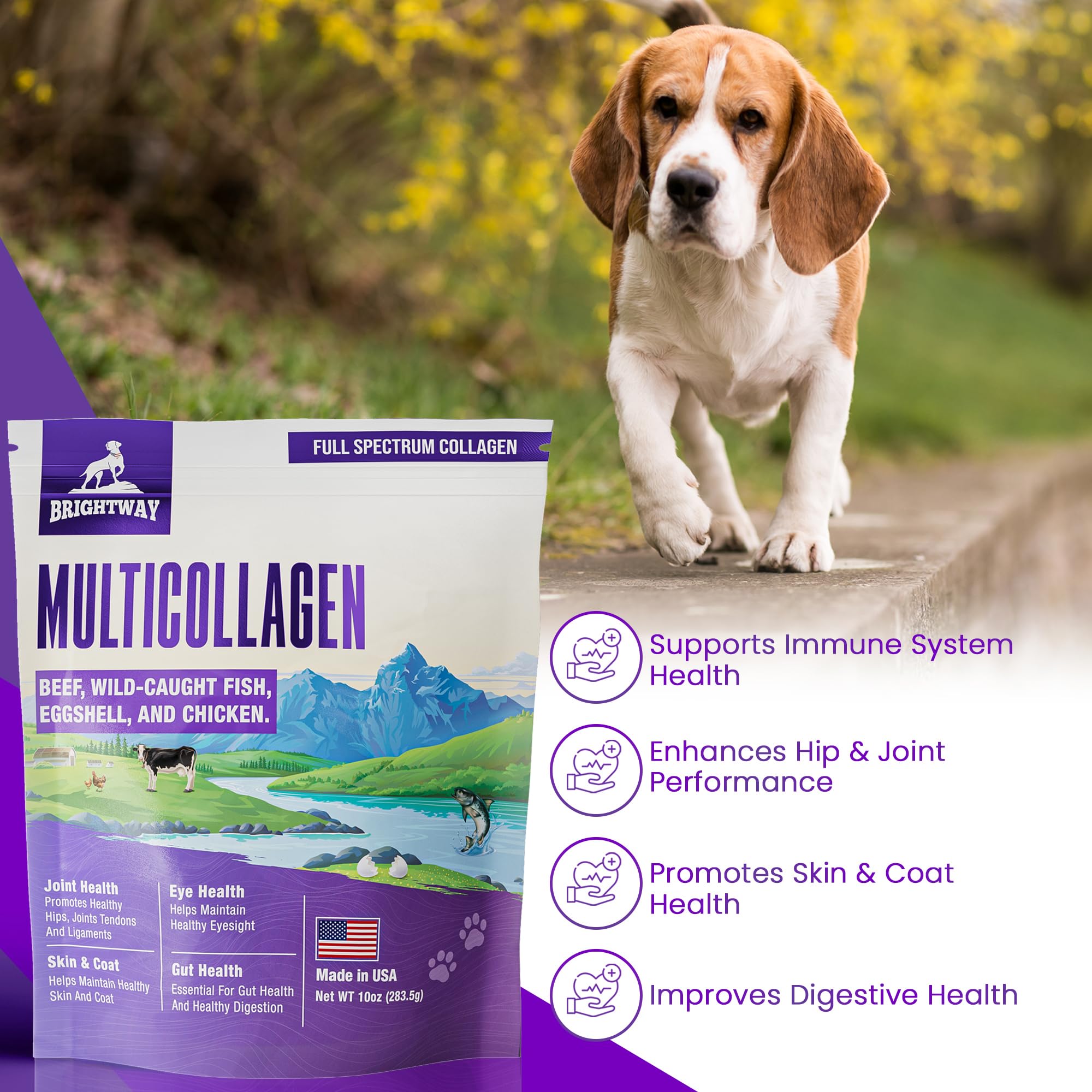 Brightway Pets peau et pelage chien - soutien peau et pelage sains.