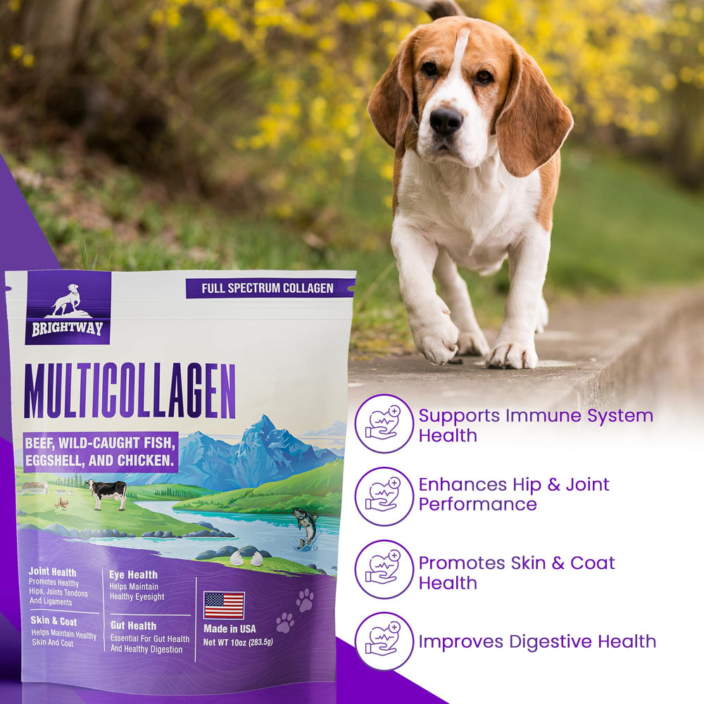 Brightway Pets peau et pelage chien - soutien peau et pelage sains.