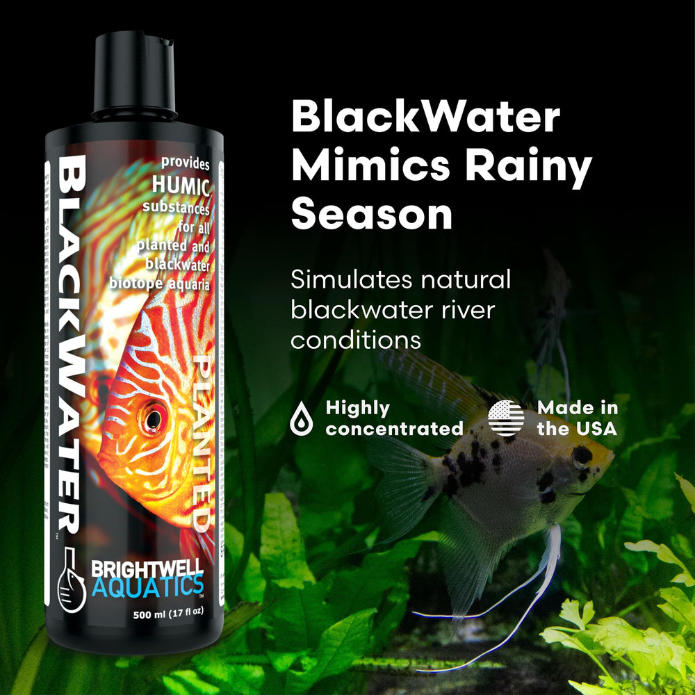 Brightwell Aquatics BlackWater versement-500ml: démonstration pratique pour libérer les nutriments et éclairer l'aquarium.
