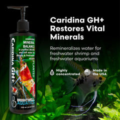 Brightwell Aquatics Caridina GH+ montre la composition minéraux pour la vitalité des crevettes et plantes