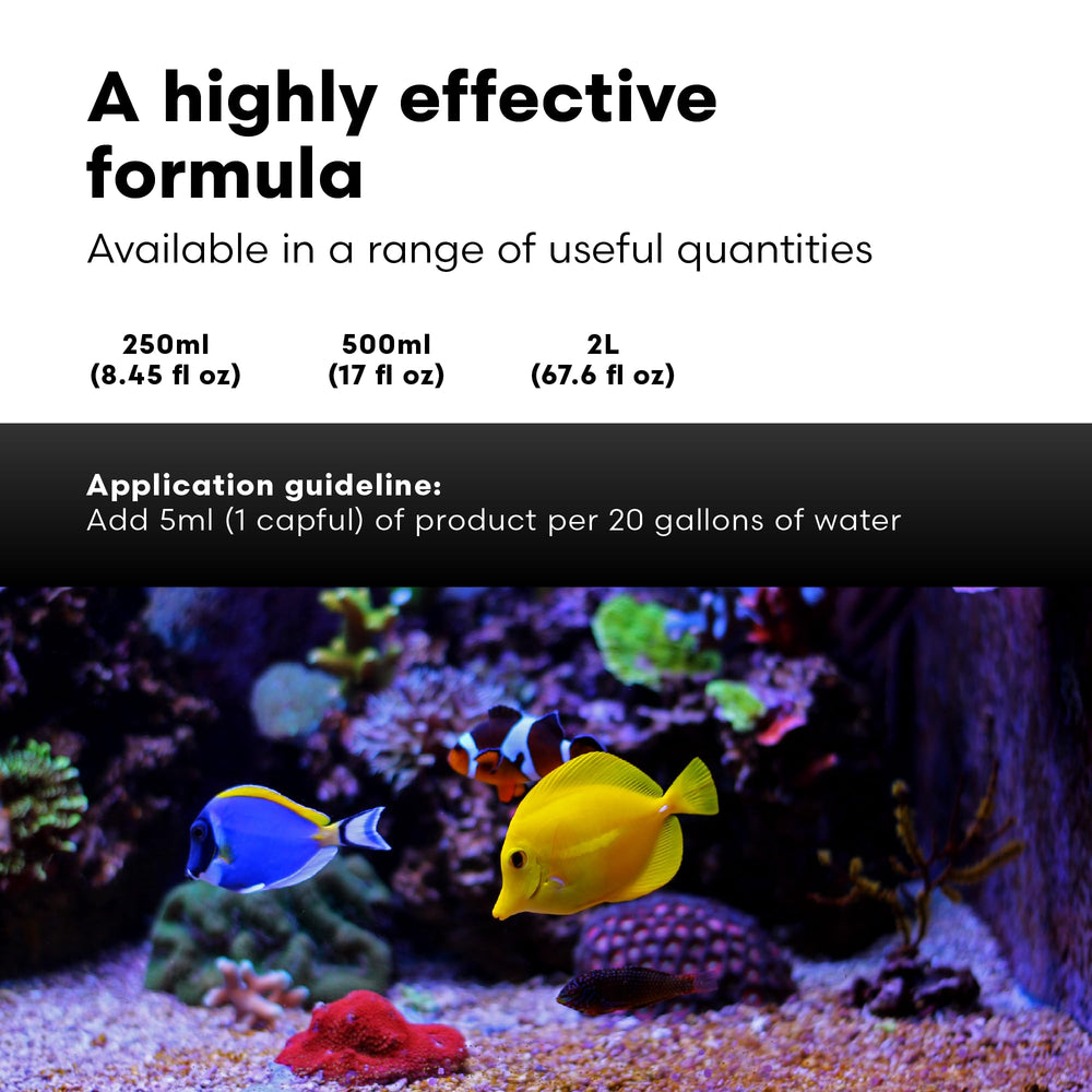 ChaetoGro en aquarium marin ULNS – utile pour viser un équilibre nutritionnel