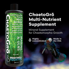 ChaetoGro – dosage quotidien clair pour soutenir la croissance des algues Chaetomorpha