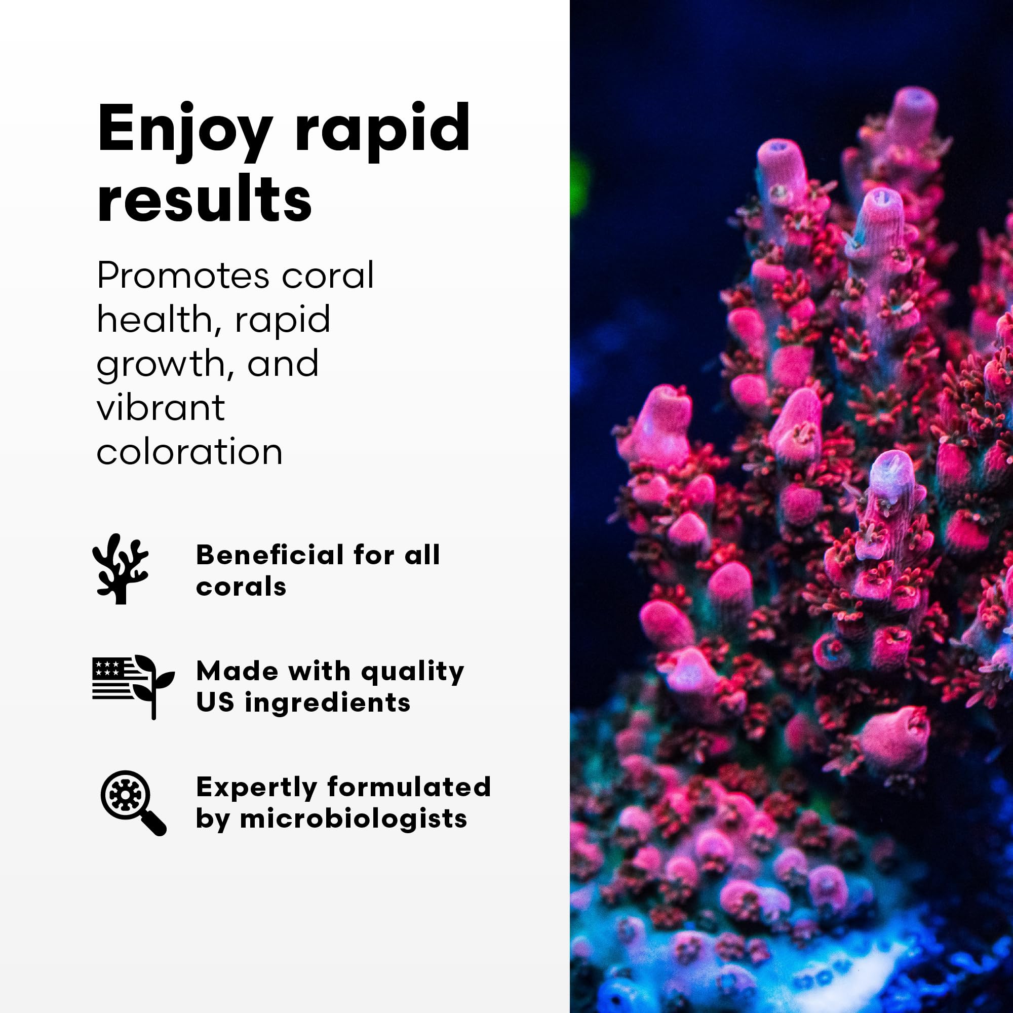 Pompe-doseuse Brightwell Aquatics Coral Inertia NRG+ pour un dosage précis.