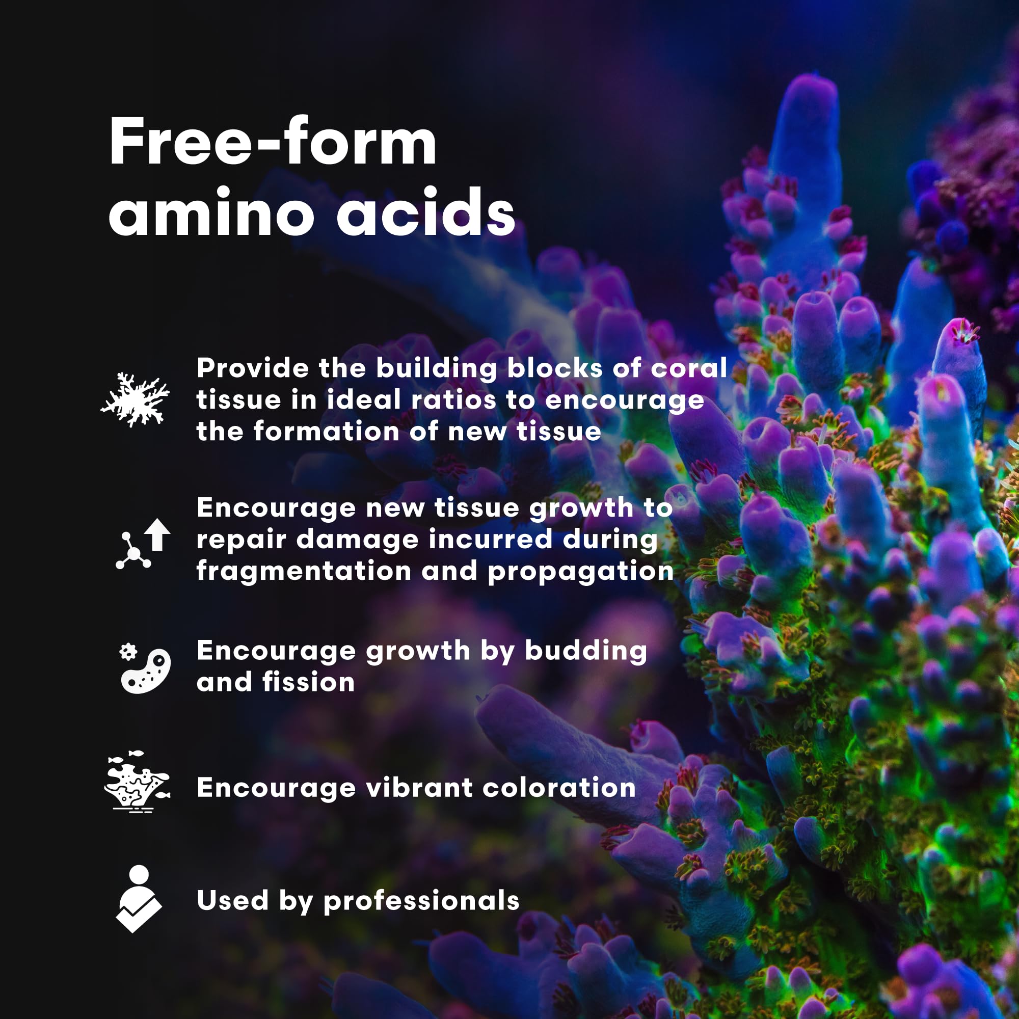 CoralAmino Brightwell Aquatics, dosage précis pour une alimentation contrôlée du bac récifal.