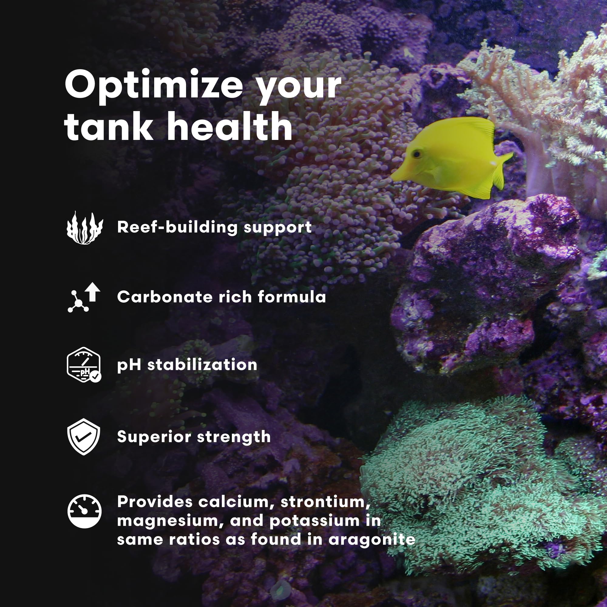 Brightwell Aquatics Coralline Accelerator bouteille près d’un aquarium soulignant l’alcalinité stable.