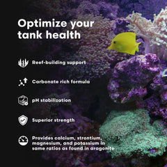 Brightwell Aquatics Coralline Accelerator bouteille près d’un aquarium soulignant l’alcalinité stable.