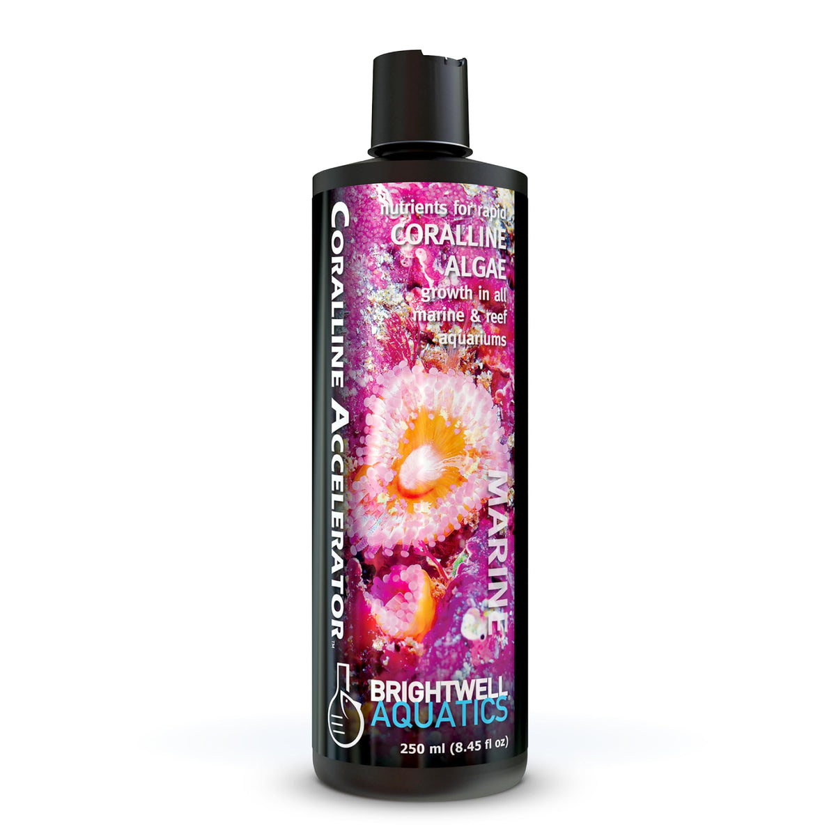 Brightwell Aquatics Coralline Accelerator flacon sur fond neutre favorisant la croissance des corallines.