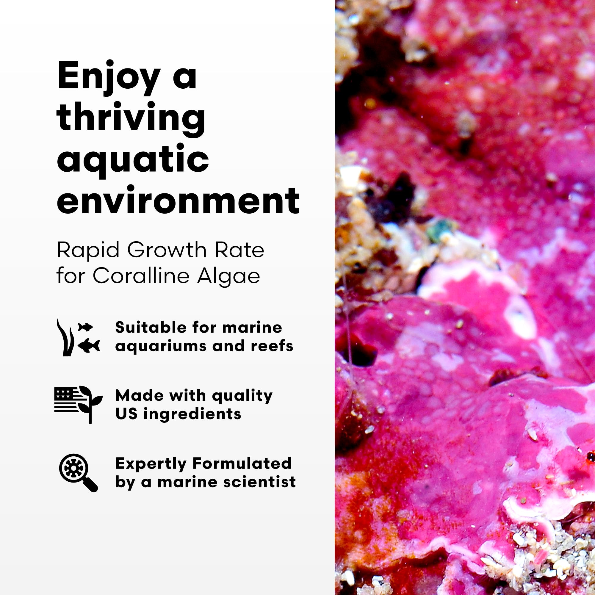 Brightwell Aquatics Coralline Accelerator doseur intégré sur le bouchon facilitant les dosages précis.