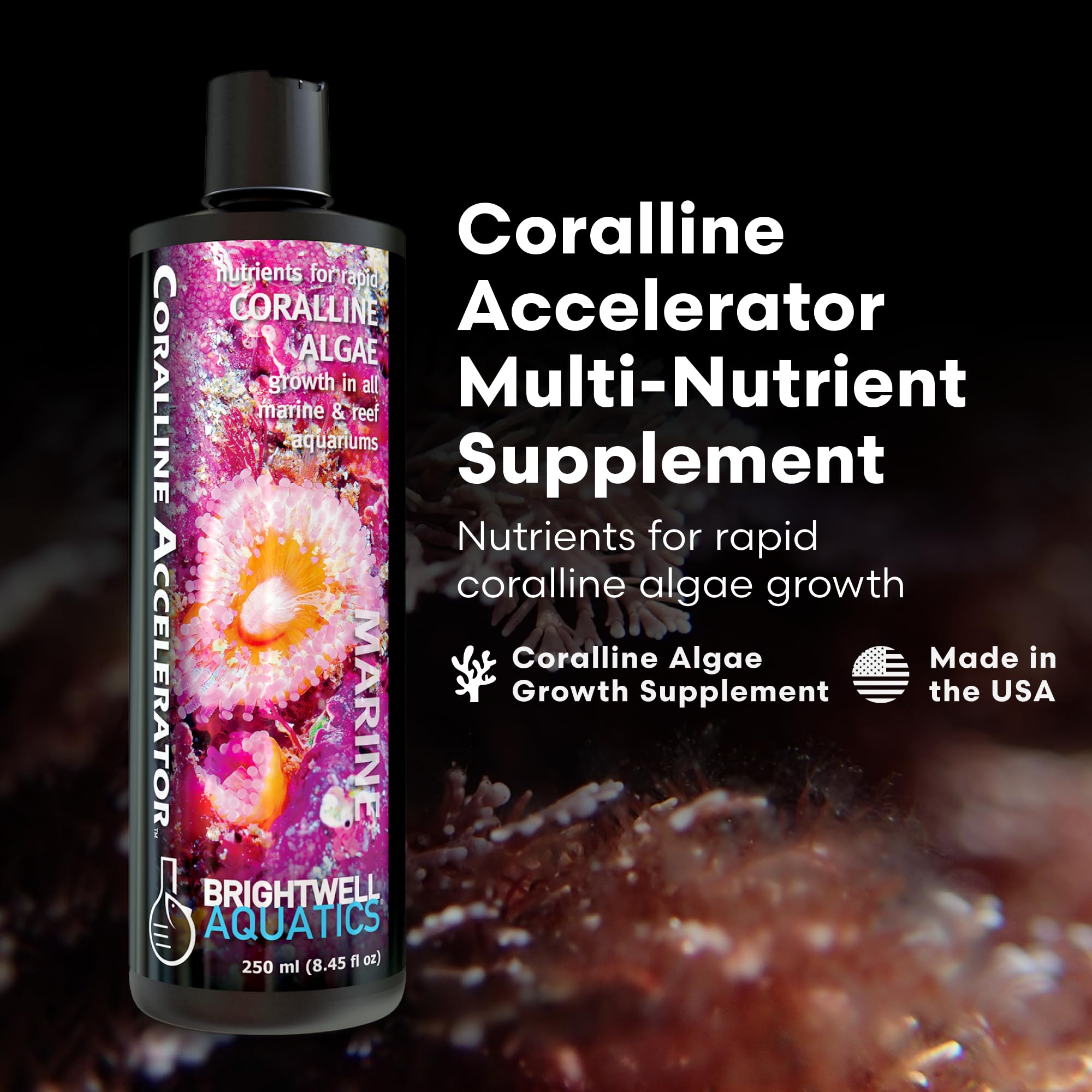 Brightwell Aquatics Coralline Accelerator étiquette du flacon montrant les éléments essentiels pour les invertébrés des récifs.