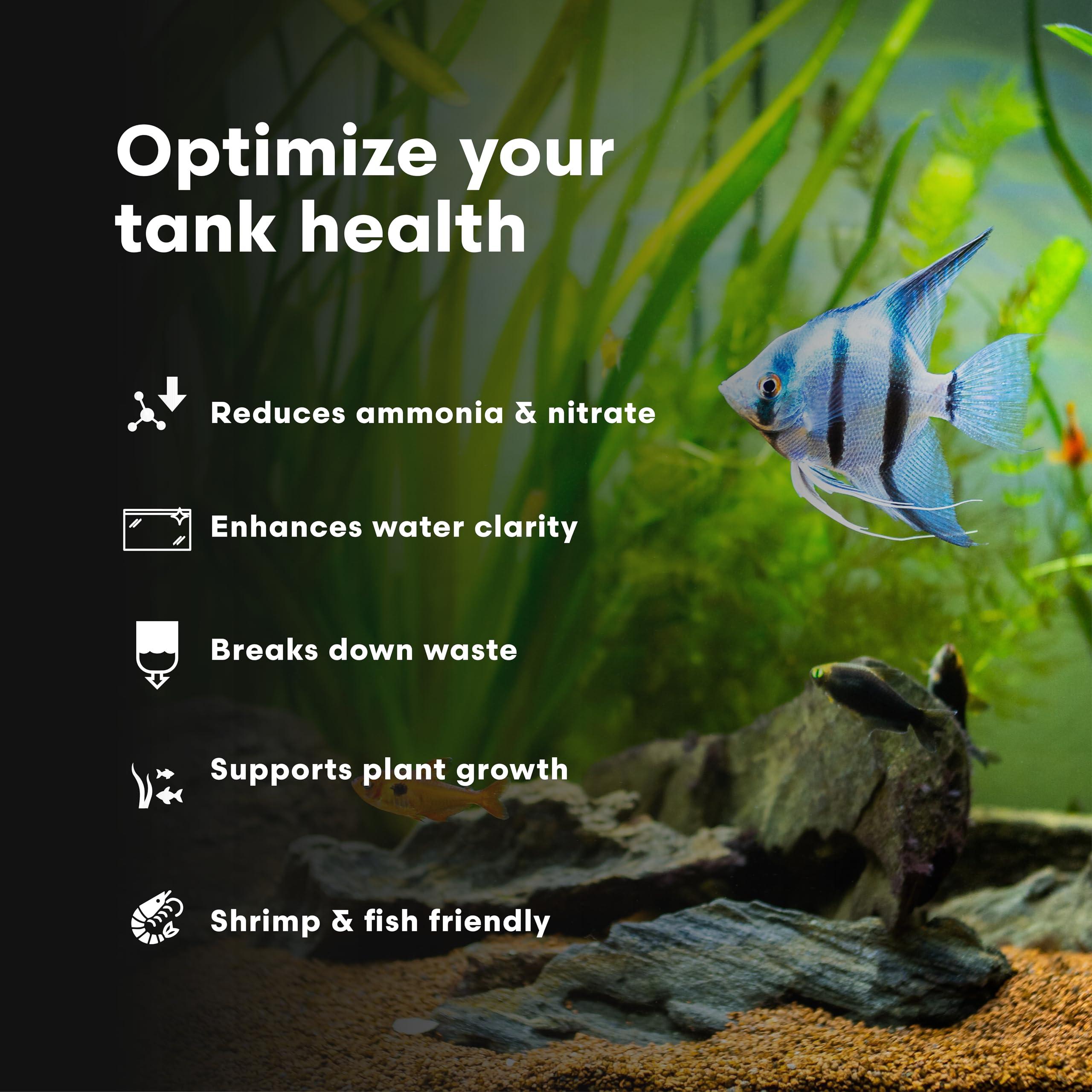 FlorinBacter7 de Brightwell Aquatics — application dans l’eau utile pour crevettes et filtration