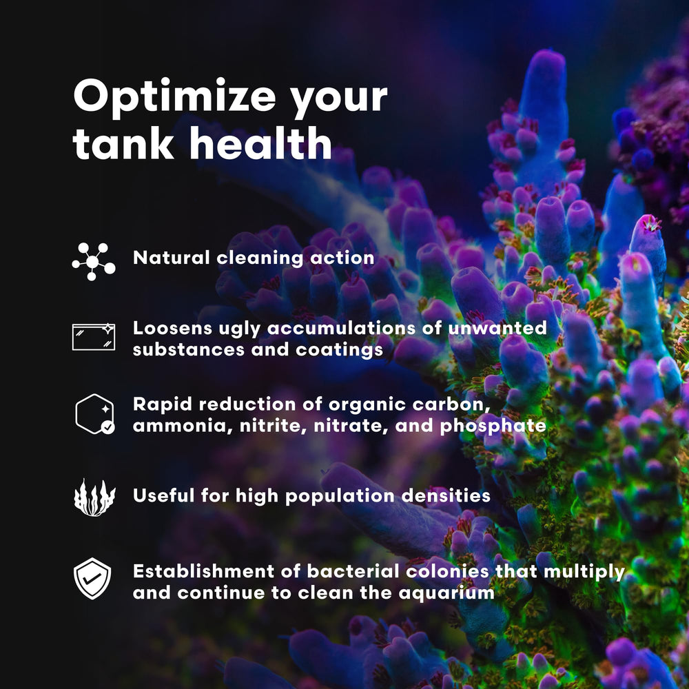 MicroBacter Clean – microbes et enzymes agissant sur les débris organiques.