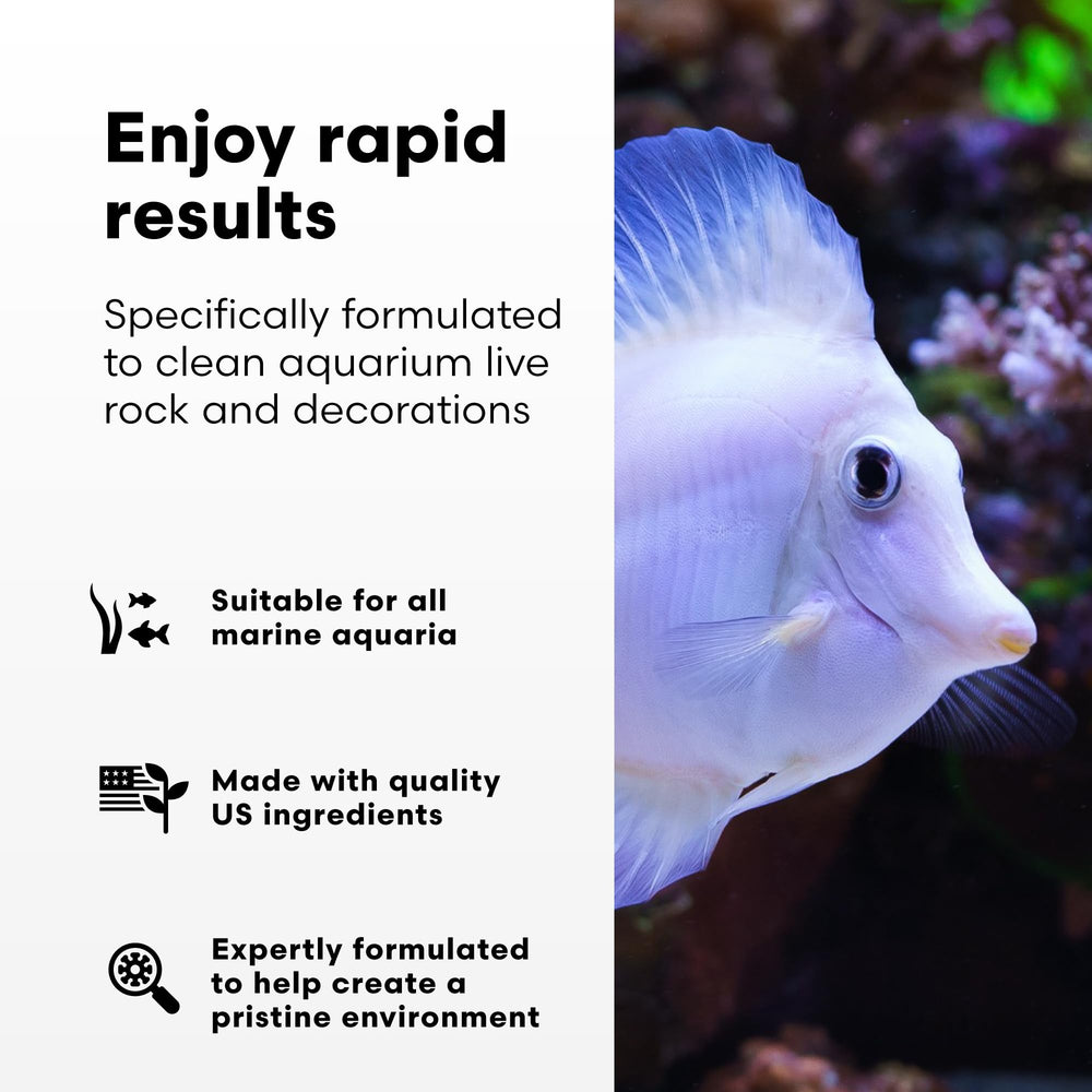 Brightwell Aquatics MicrōBacter Clean — nettoyage des roches vivantes pour un aquarium clair