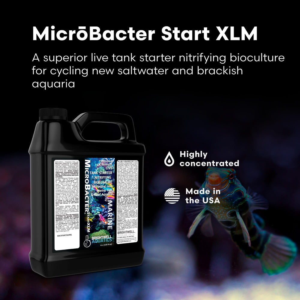 Versement du produit MicroBacter Start XLM pour rétablir rapidement les bactéries nitrifiantes.