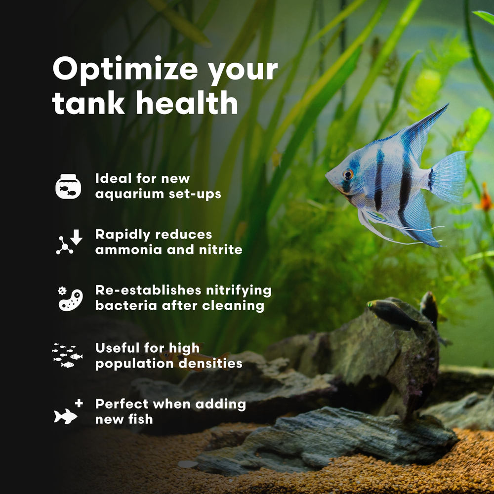 Brightwell Aquatics MicroBacter Start XLF — emballage montrant le produit et le dosage