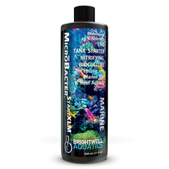 Brightwell Aquatics MicroBacter Start XLM – bouteille prête à l’emploi pour démarrage rapide du cycle biologique.