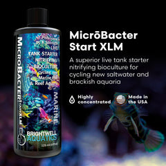 Brightwell Aquatics MicroBacter Start XLM – démarrage rapide du cycle nitrifiant dans l’aquarium.
