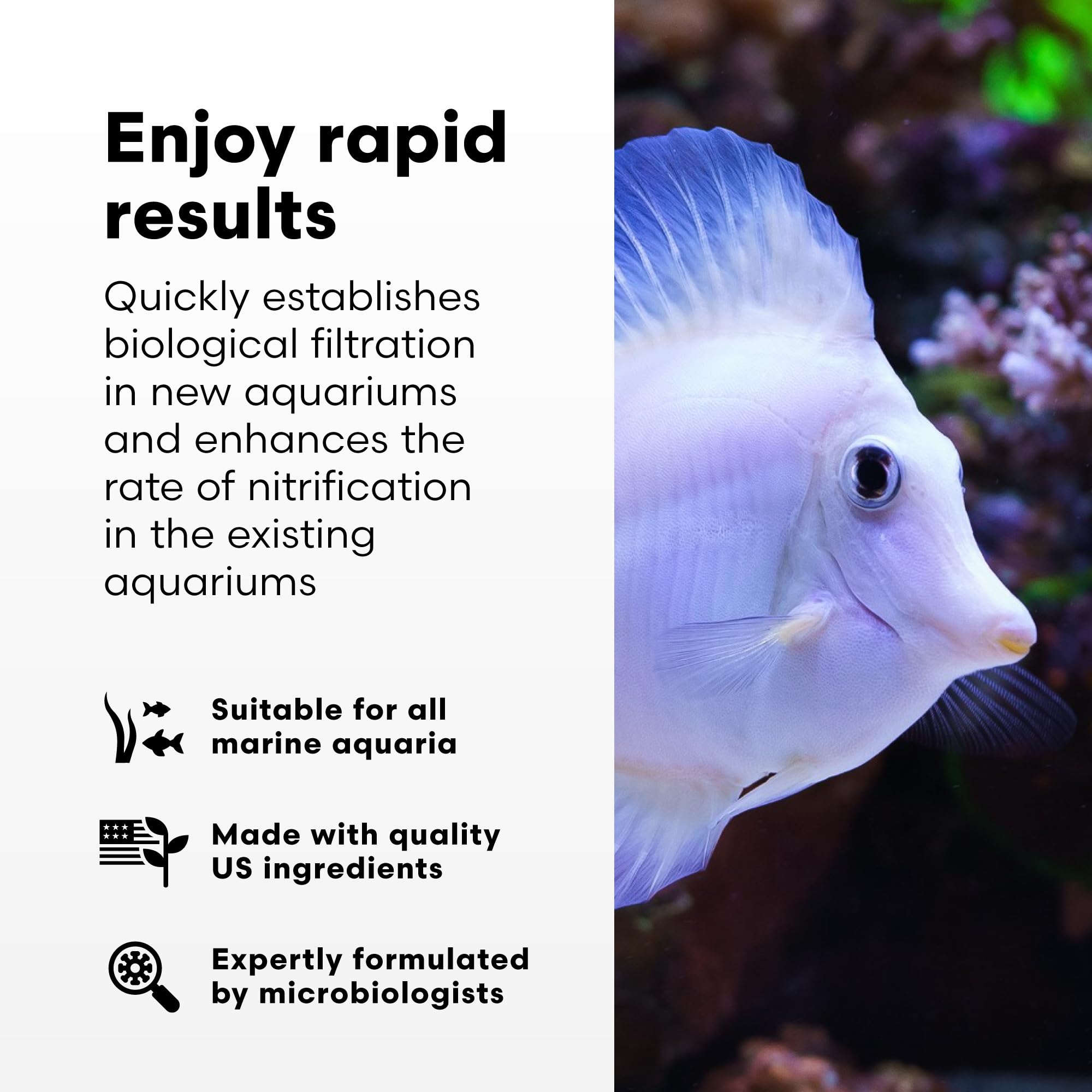 Brightwell Aquatics MicroBacter Start XLM – doseur prêt à mesurer, facilité d’ajout dans l’aquarium.
