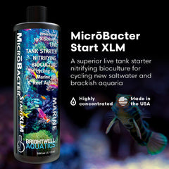 Brightwell Aquatics MicroBacter Start XLM – étiquette lisible montrant les instructions et les avantages.