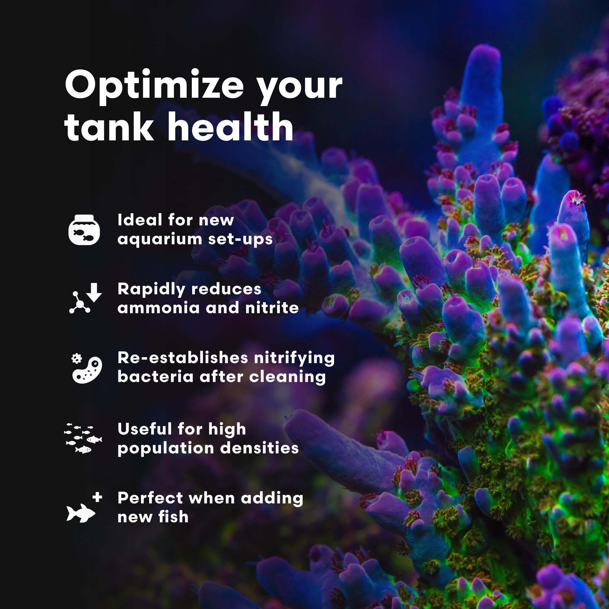 Brightwell Aquatics MicroBacter Start XLM – gouttes versées dans l’aquarium, démontrant l’application simple.